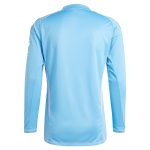 aston villa adidas goalkeeper shirt 2024-25 – long sleeve – 201964005 with custom printing Collection - Official Aston Villa Kits