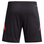 aston villa adidas goalkeeper shorts 2024-25 – 201964002 with custom printing Collection - Official Aston Villa Kits