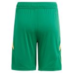 aston villa adidas goalkeeper shorts 2024-25 – 201964010 Collection - Official Aston Villa Kits