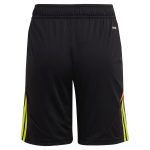 aston villa adidas goalkeeper shorts 2024-25 – kids – 201964004 with custom printing Collection - Official Aston Villa Kits