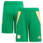 aston villa adidas goalkeeper shorts 2024-25 – kids – 201964012 with custom printing Collection - Official Aston Villa Kits