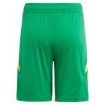 aston villa adidas goalkeeper shorts 2024-25 – kids – 201964012 with custom printing Collection - Official Aston Villa Kits