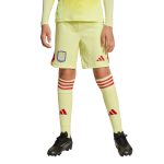 aston villa adidas goalkeeper shorts 2025-26 – kids with custom printing Collection - Official Aston Villa Kits