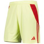 aston villa adidas goalkeeper shorts 2025-26 with custom printing Collection - Official Aston Villa Kits