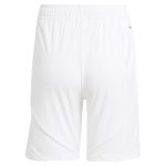 aston villa adidas home shorts 2024-25 with custom printing Collection - Official Aston Villa Kits